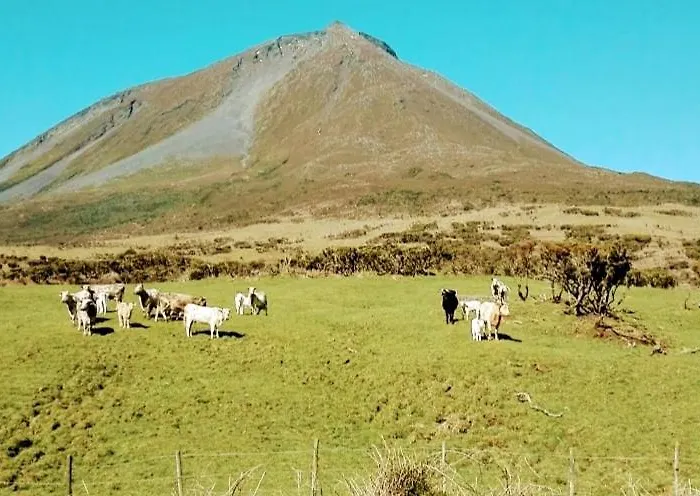 Casa vacanze Casa Da Latada - Historic Azorean In Pico *